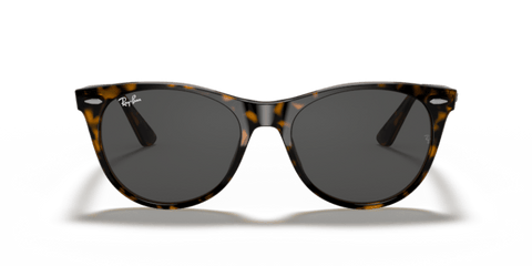 Havana On Transparent Brown - 0RB2185 8056597197847 Ray-Ban Sunglasses Unisex Phantos