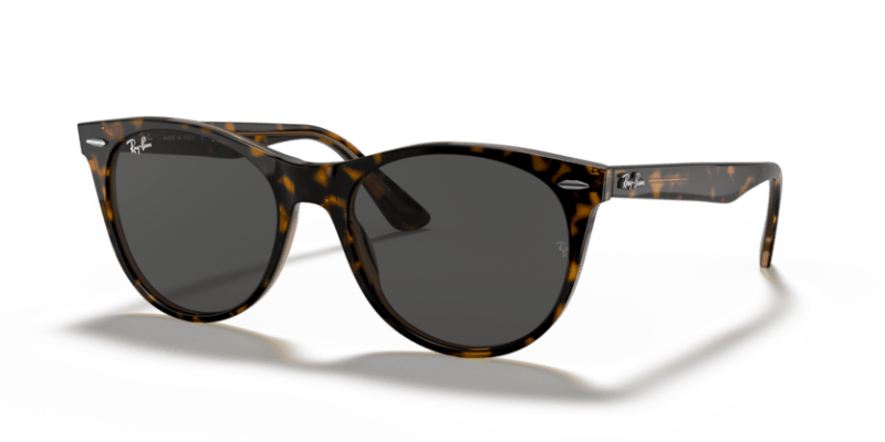 Havana On Transparent Brown - 0RB2185 8056597197847 Ray-Ban Sunglasses Unisex Phantos