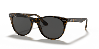 Havana On Transparent Brown - 0RB2185 8056597197847 Ray-Ban Sunglasses Unisex Phantos