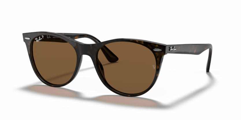 0RB2185 - Ray - Ban - (Spotted Havana) B - 15 Brown Polarized - 55 - 18 - 145 MM - Ardor Eyewear 8056597044592