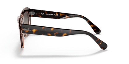 Havana On Transparent Pink - 0RB2186 8056597445580