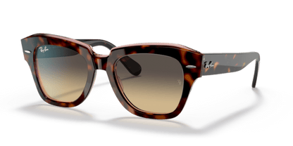 Havana On Transparent Pink - 0RB2186 8056597445580