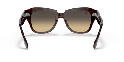 Havana On Transparent Pink - 0RB2186 8056597445580