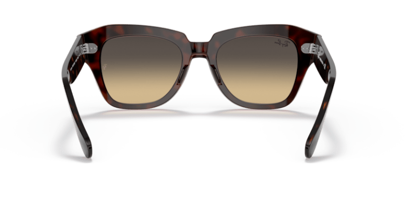 Havana On Transparent Pink - 0RB2186 8056597445580