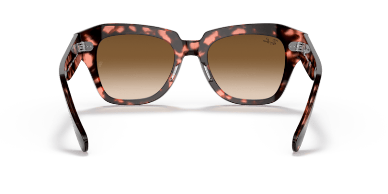 Pink Havana - 0RB2186 8056597559904