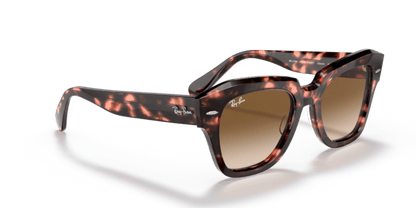 Pink Havana - 0RB2186 8056597559904