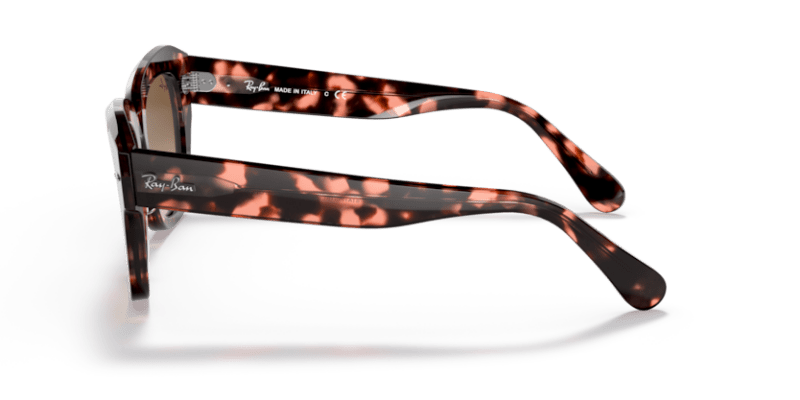 Pink Havana - 0RB2186 8056597559904