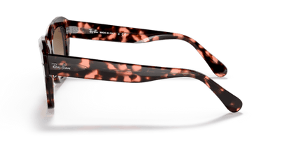 Pink Havana - 0RB2186 8056597559904