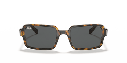 Havana On Transparent Brown - 0RB2189 8056597362412