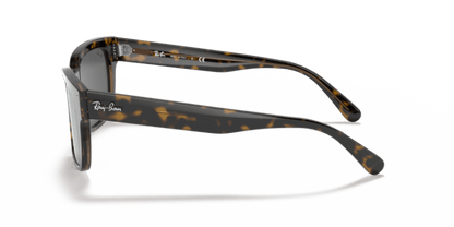 Havana On Transparent Brown - 0RB2190 8056597362542