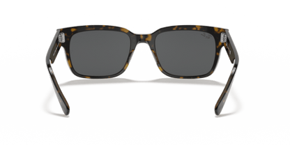 Havana On Transparent Brown - 0RB2190 8056597362542