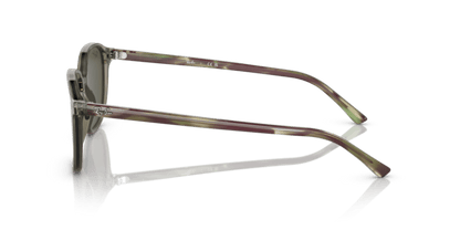 Transparent Green - 0RB2193 8056597748438 Ray-Ban Sunglasses Unisex Square