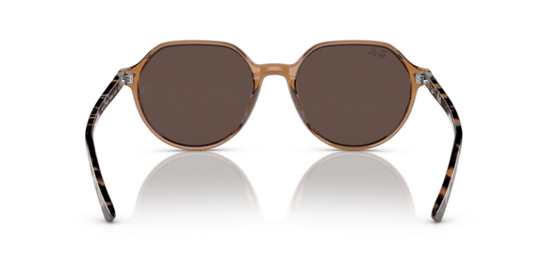 Transparent Brown - 0RB2195 8056597759229 Ray-Ban Sunglasses Unisex Square