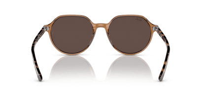 Transparent Brown - 0RB2195 8056597759229 Ray-Ban Sunglasses Unisex Square