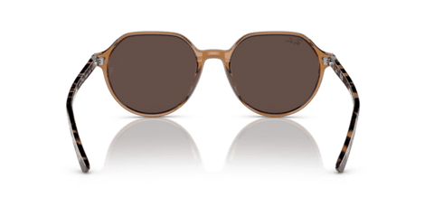 Transparent Brown - 0RB2195 8056597759229 Ray-Ban Sunglasses Unisex Square