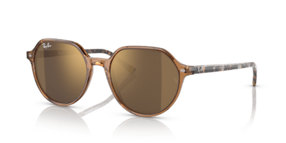 Transparent Brown - 0RB2195 8056597759229 Ray-Ban Sunglasses Unisex Square