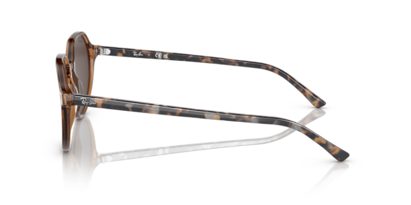 Transparent Brown - 0RB2195 8056597759229 Ray-Ban Sunglasses Unisex Square