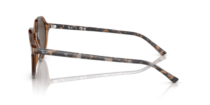 Transparent Brown - 0RB2195 8056597759229 Ray-Ban Sunglasses Unisex Square