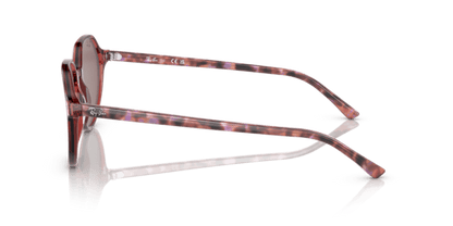 Transparent Pink - 0RB2195 8056597780940 Ray-Ban Sunglasses Unisex Square