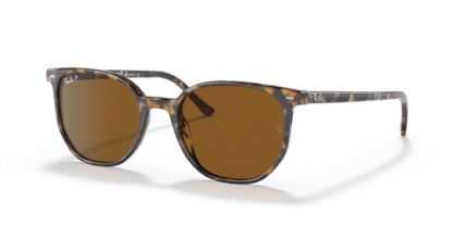 Havana Brown Grey (135757) - B-15 Brown Polarized 8056597956642
