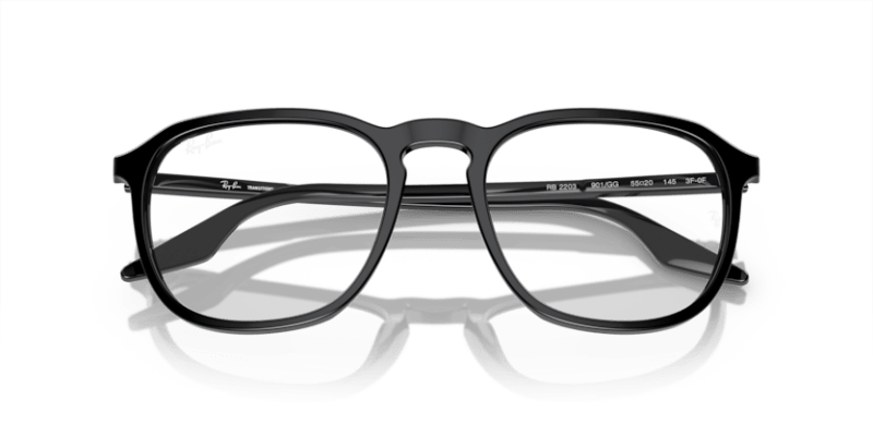 Black - 0RB2203 8056597952330 Ray-Ban Sunglasses Unisex Square