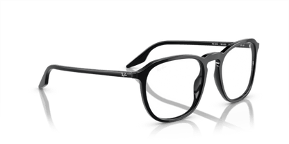 Black - 0RB2203 8056597952330 Ray-Ban Sunglasses Unisex Square