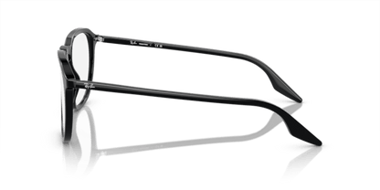 Black - 0RB2203 8056597952330 Ray-Ban Sunglasses Unisex Square