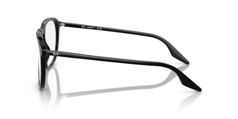 Black - 0RB2203 8056597952330 Ray-Ban Sunglasses Unisex Square