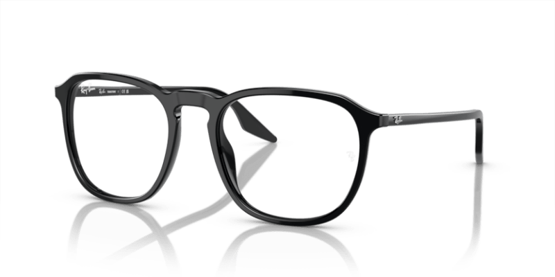 Black - 0RB2203 8056597952330 Ray-Ban Sunglasses Unisex Square