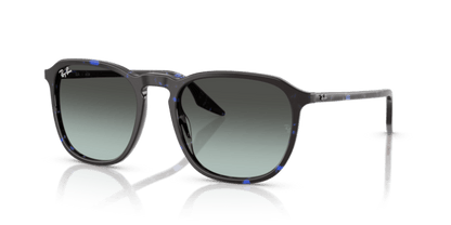 Havana Blue Tortoiseshell - 0RB2203 8056262474297