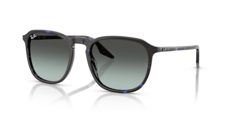 Havana Blue Tortoiseshell - 0RB2203 8056262474297