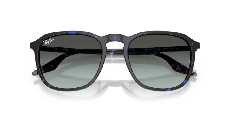 Havana Blue Tortoiseshell - 0RB2203 8056262474297