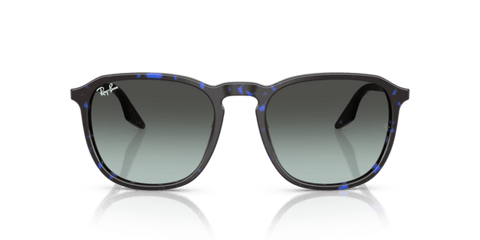 Havana Blue Tortoiseshell - 0RB2203 8056262474297