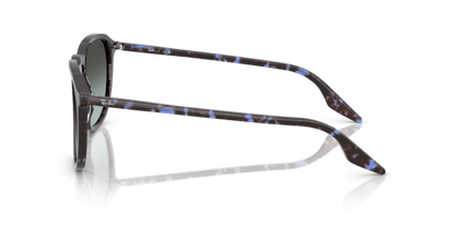 Havana Blue Tortoiseshell - 0RB2203 8056262474297