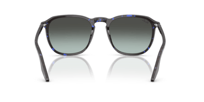Havana Blue Tortoiseshell - 0RB2203 8056262474297