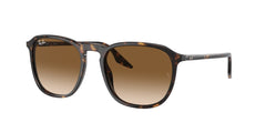 0RB2203 - Ray - Ban - (Havana) Light Brown - 52 - 20 - 145 MM - Ardor Eyewear 8056597936491