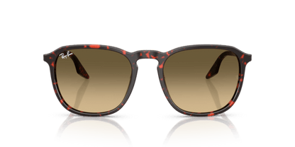 Havana Red Tortoiseshell - 0RB2203 8056262474273