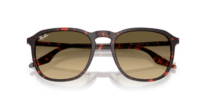Havana Red Tortoiseshell - 0RB2203 8056262474273