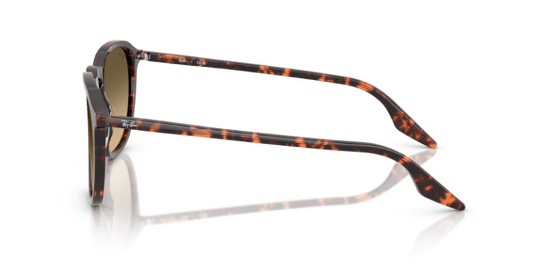 Havana Red Tortoiseshell - 0RB2203 8056262474273