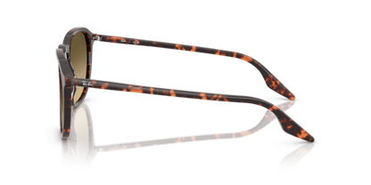 Havana Red Tortoiseshell - 0RB2203 8056262474273