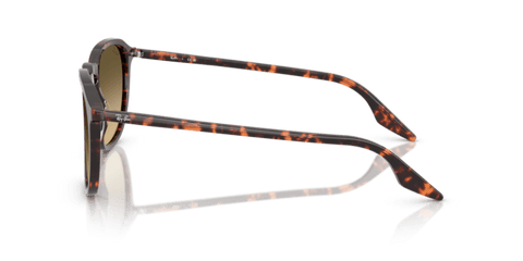 Havana Red Tortoiseshell - 0RB2203 8056262474273