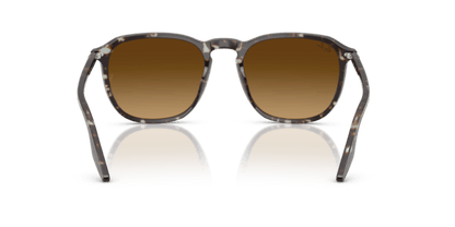 Havana Yellow Tortoiseshell - 0RB2203 8056262474310