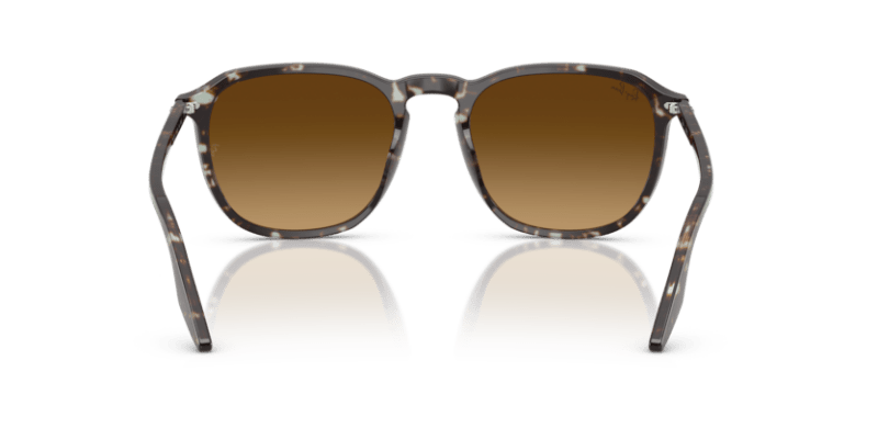 Havana Yellow Tortoiseshell - 0RB2203 8056262474310