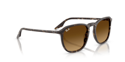 Havana Yellow Tortoiseshell - 0RB2203 8056262474310