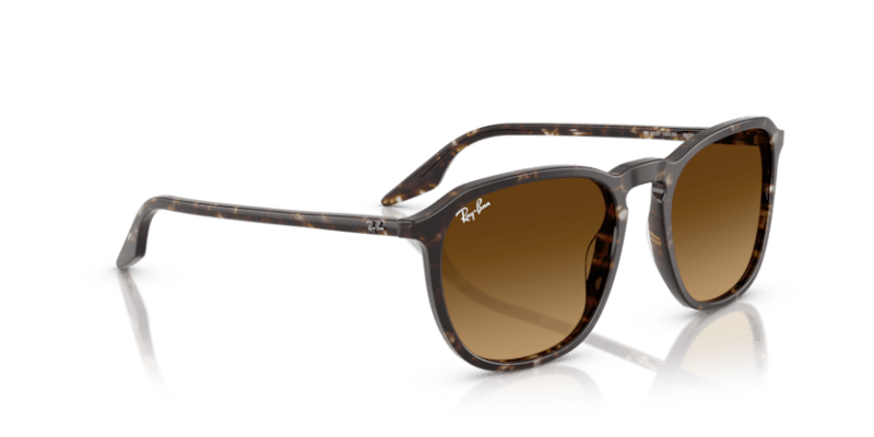 Havana Yellow Tortoiseshell - 0RB2203 8056262474310