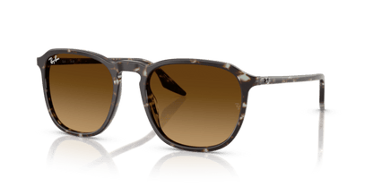 Havana Yellow Tortoiseshell - 0RB2203 8056262474310