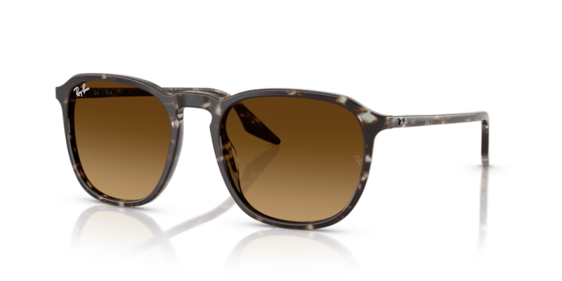 Havana Yellow Tortoiseshell - 0RB2203 8056262474310