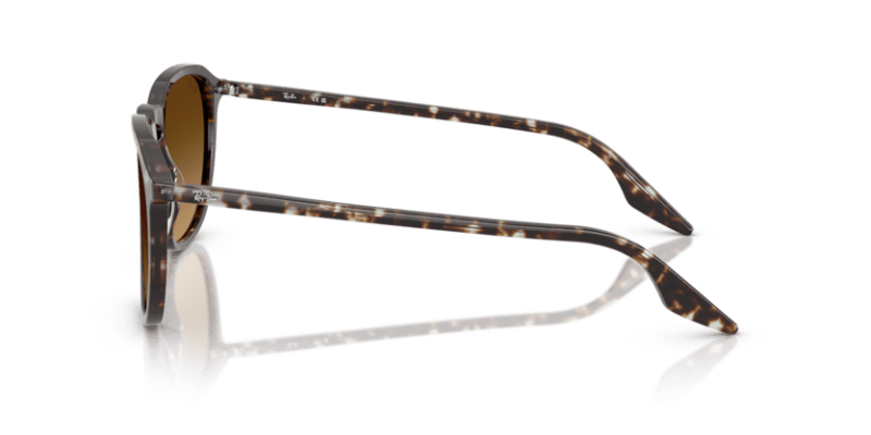 Havana Yellow Tortoiseshell - 0RB2203 8056262474310