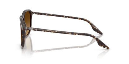 Havana Yellow Tortoiseshell - 0RB2203 8056262474310