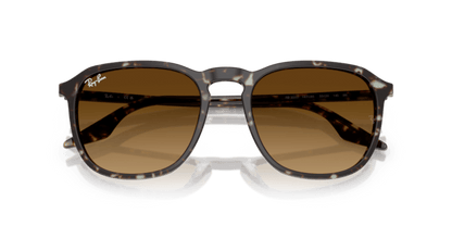 Havana Yellow Tortoiseshell - 0RB2203 8056262474310